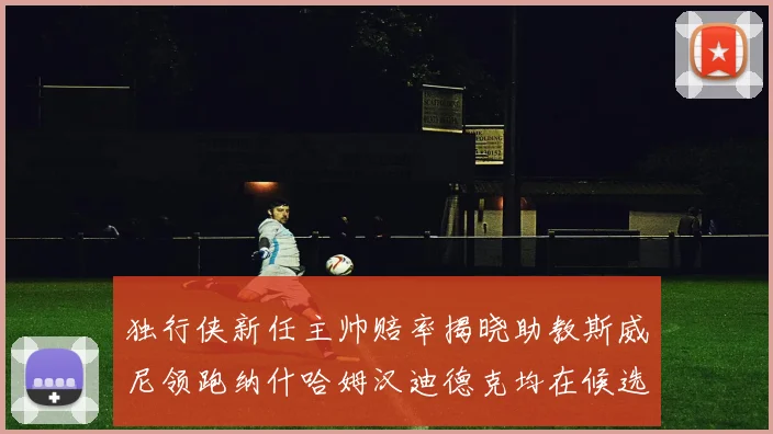独行侠新任主帅赔率揭晓助教斯威尼领跑纳什哈姆汉迪德克均在候选之中